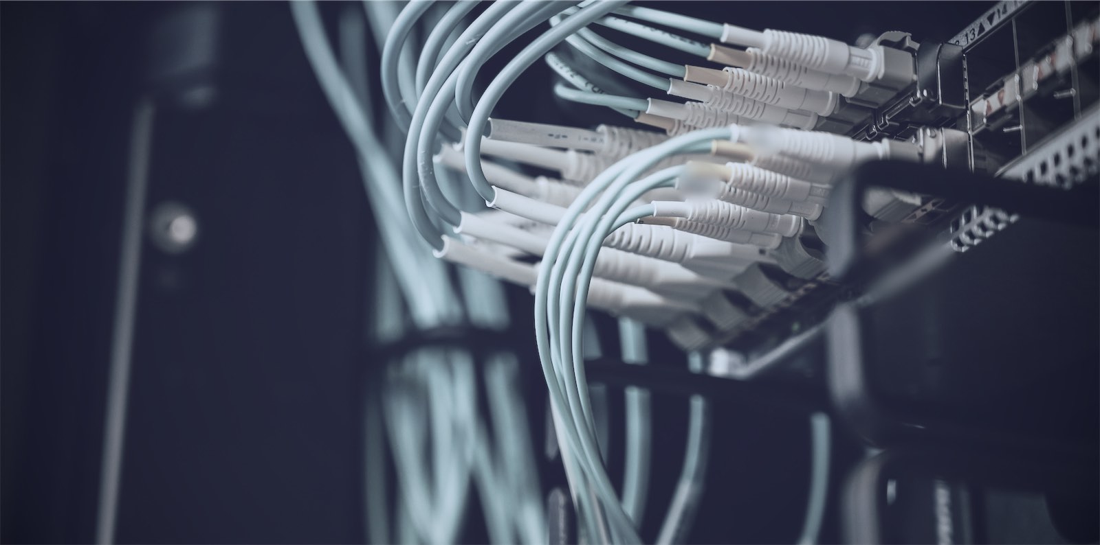 Fibre-optic patch leads routed into a network switch